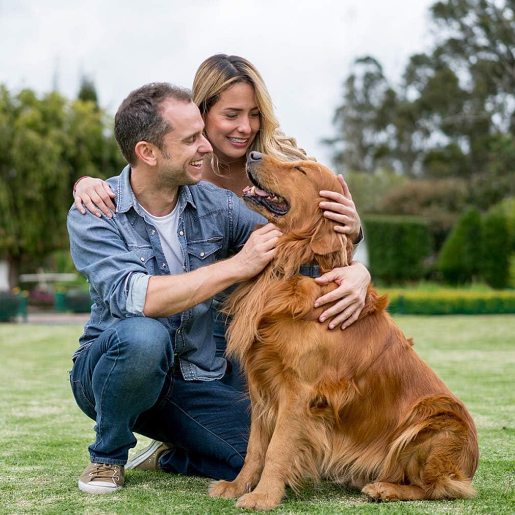 CL.HPAHKL Durable Large Dog Crate, Folding Metal Dog Kennel Double Door Dog Cage with Plastic Tray, Wire Crate for Large Dog Indoor Outdoor Travel (Black, 42 inch)