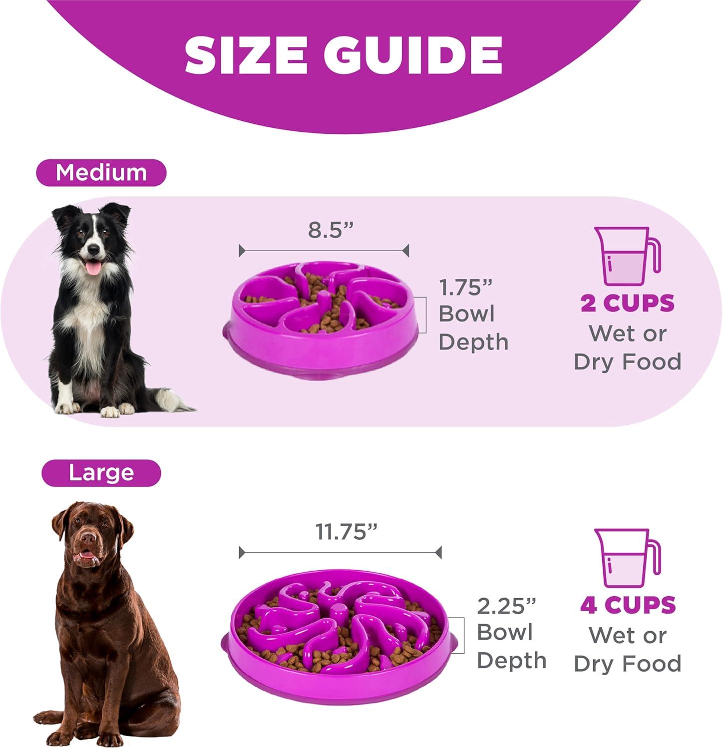 Purple Medium Fun Feeder Slow Dog Bowl with Maze Design