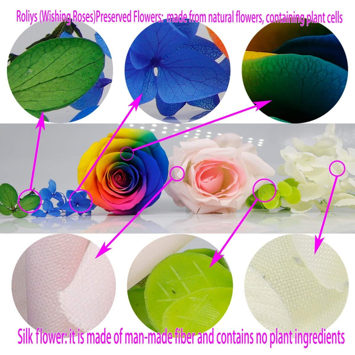 Preserved Real Roses with Colorful Mood Light Wishing Bottle, Eternal Rose，Never Withered Flowers, Table Decor,Christmas Anniversary Valentine's, Red 4.3inch, 1pcs