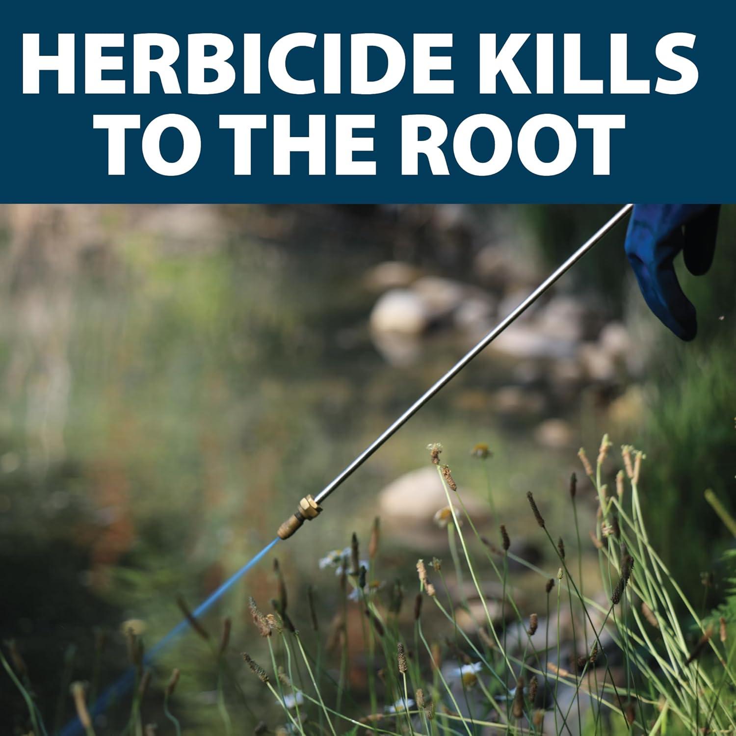 Airmax Shoreline Defense Emergent Weed Control Concentrated Treatment, Aquatic Herbicide (Glyphosate) for Phragmites, Pond Grass & Cattails, 1 Gallon