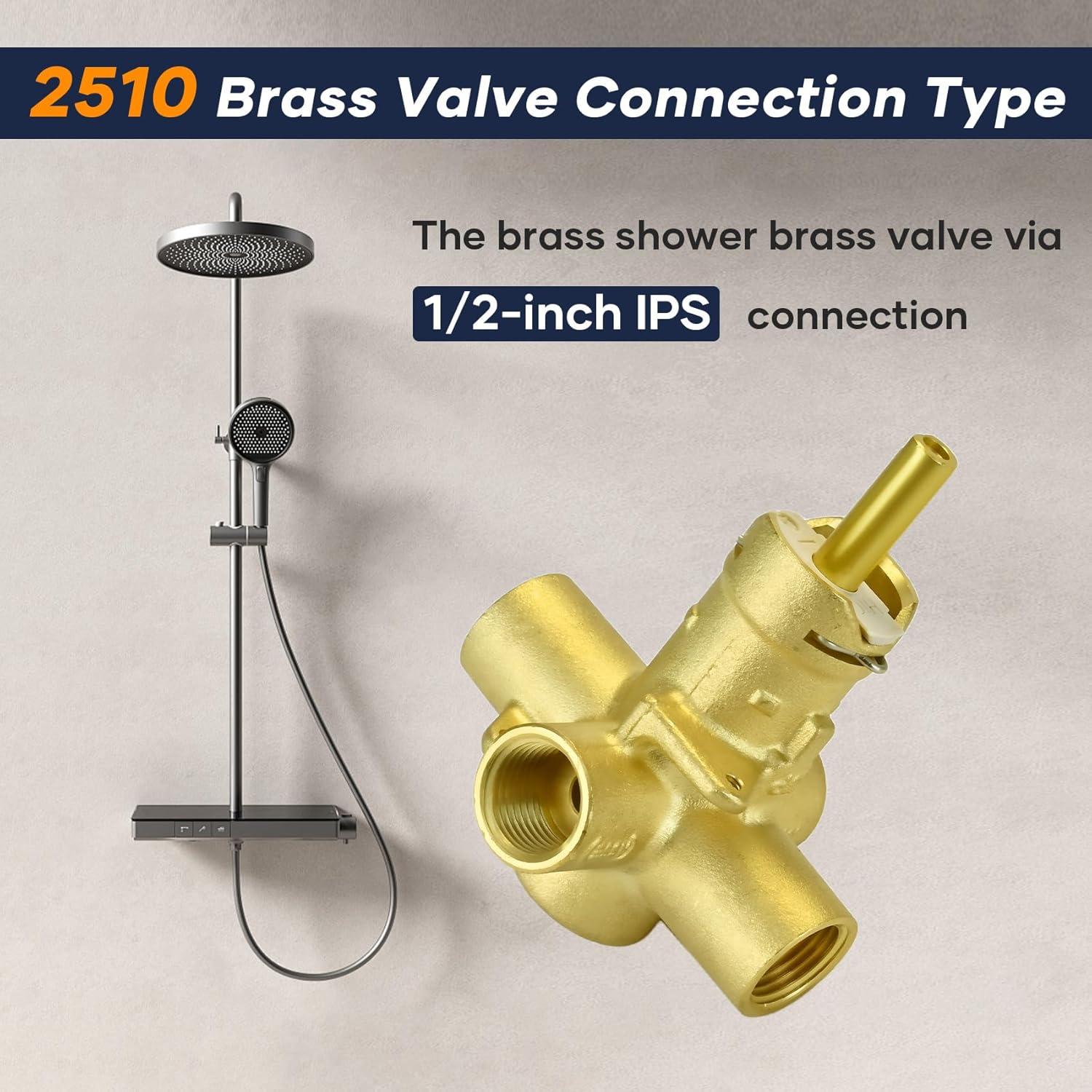 Posi-Temp Pressure Balancing Valve with IPS Connection