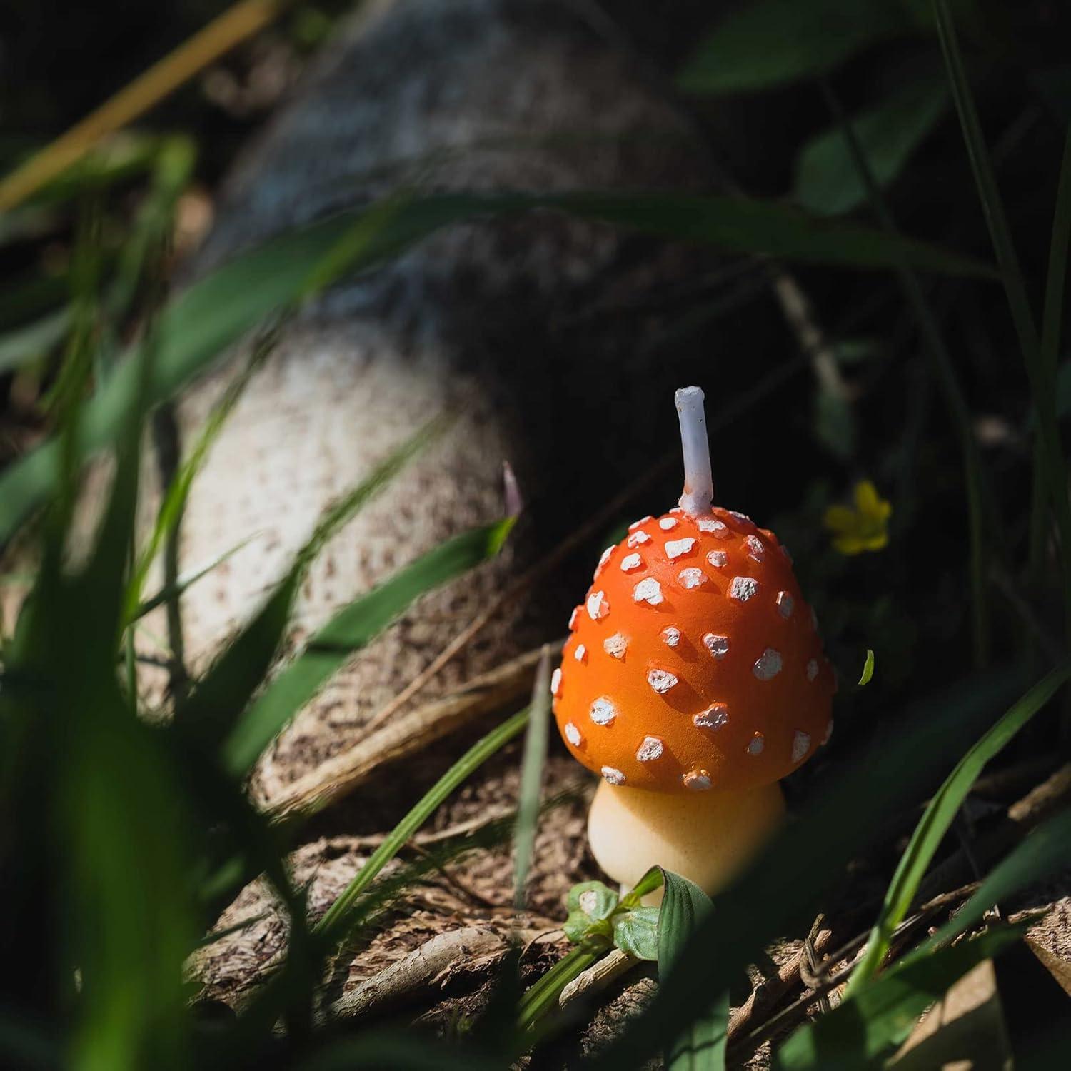 Birthday Candles Mushroom Candles for Party Supplies and Wedding Favor