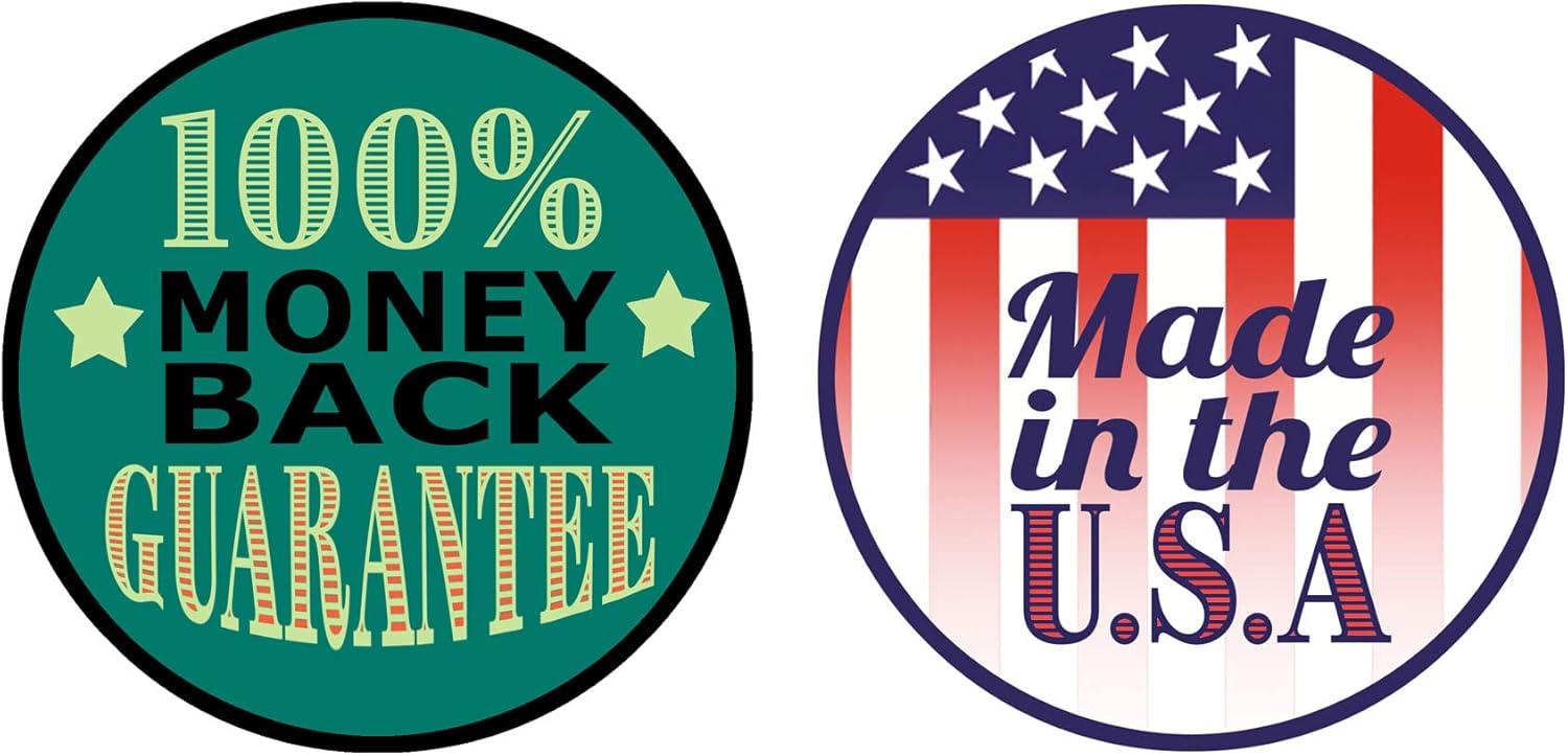 Stonehouse Collection | Desert Cactus Decorating Christmas Card | 18 Western Christmas Cards & Envelopes