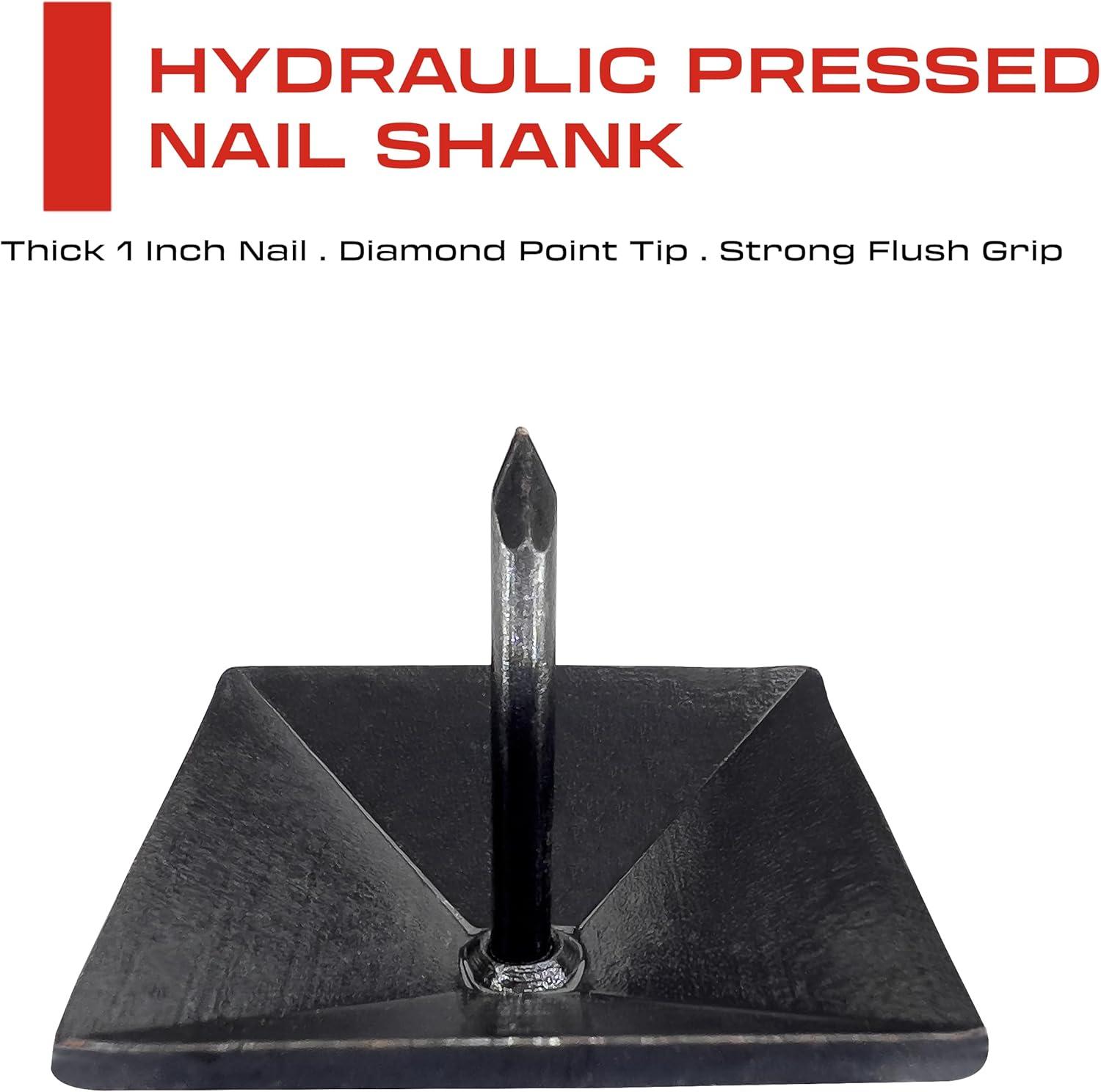 50 Pack - 1.25 Inch Iron Clavos - Decorative Nails - Square - Upholstery Tacks - Clavos - Antique Decorative Rustic Nails for Wood, Decorative Door Studs, Farm Barn Door, Furniture Nails