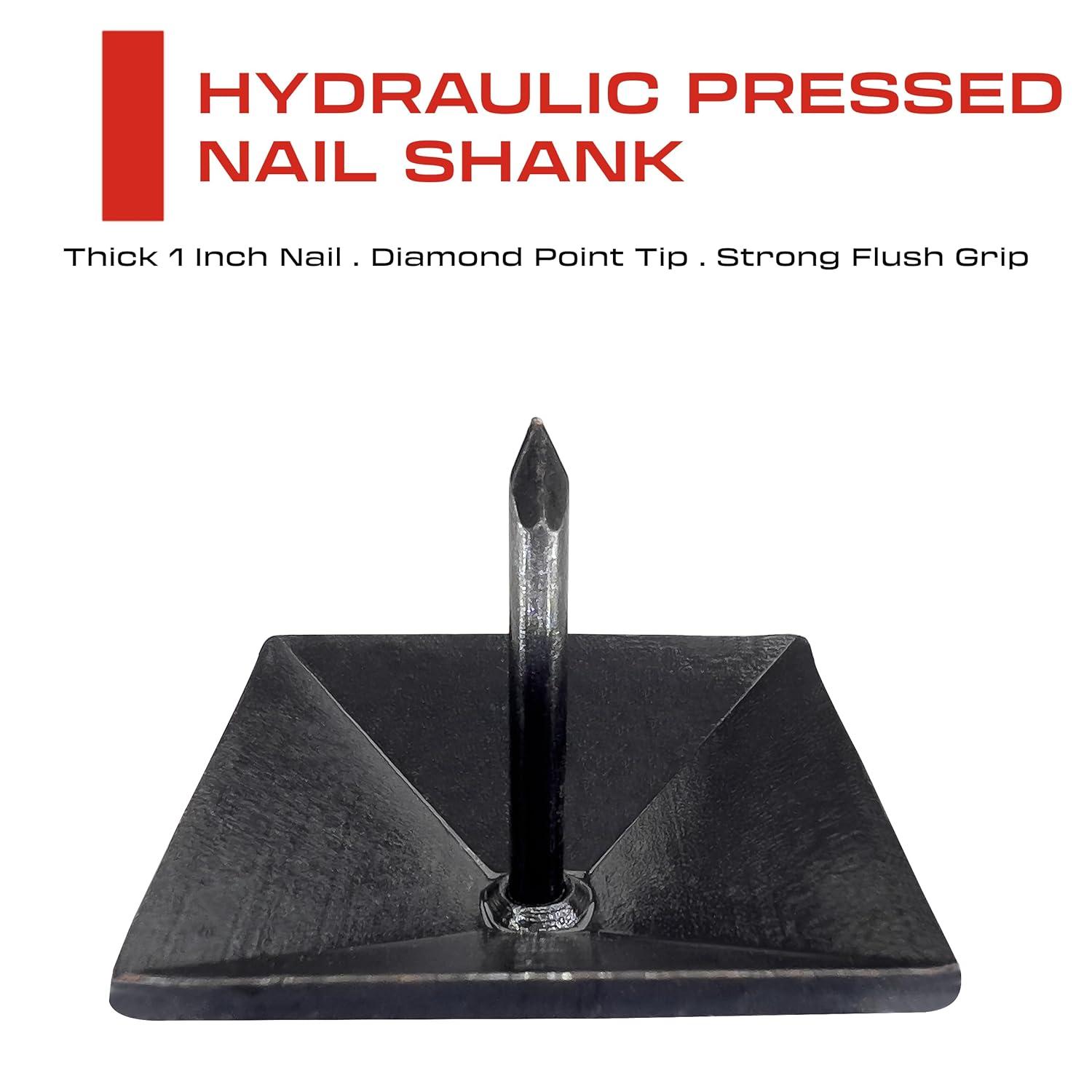 50 Pack - 1.25 Inch Iron Clavos - Decorative Nails - Square - Upholstery Tacks - Clavos - Antique Decorative Rustic Nails for Wood, Decorative Door Studs, Farm Barn Door, Furniture Nails