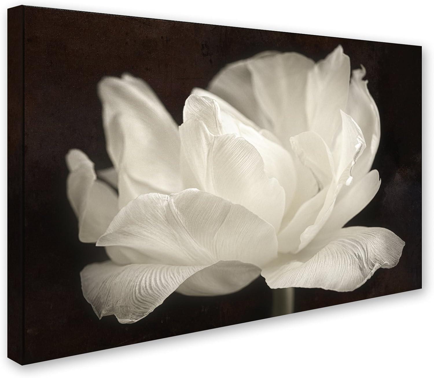 Trademark Fine Art -Cora Niele 'White Tulip III' Canvas Art