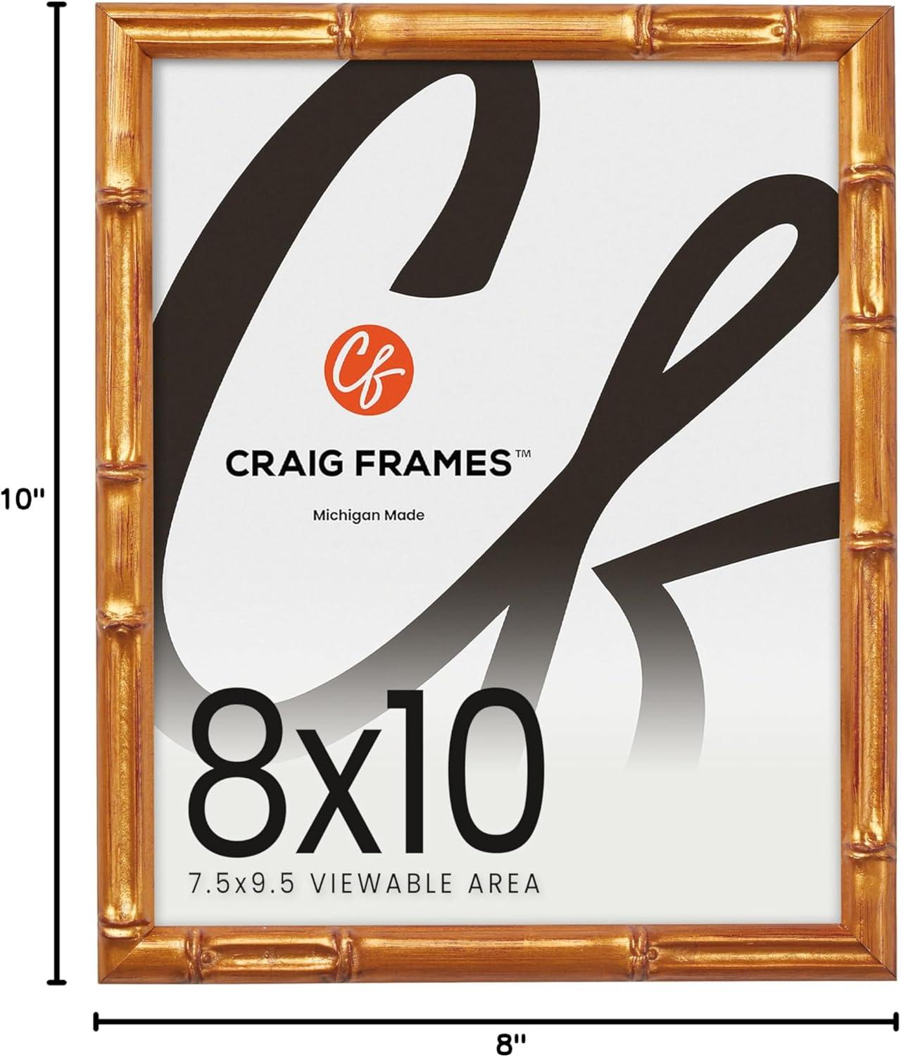 Craig Frames Vintage Bamboo Brushed Gold Single Image Picture Frame