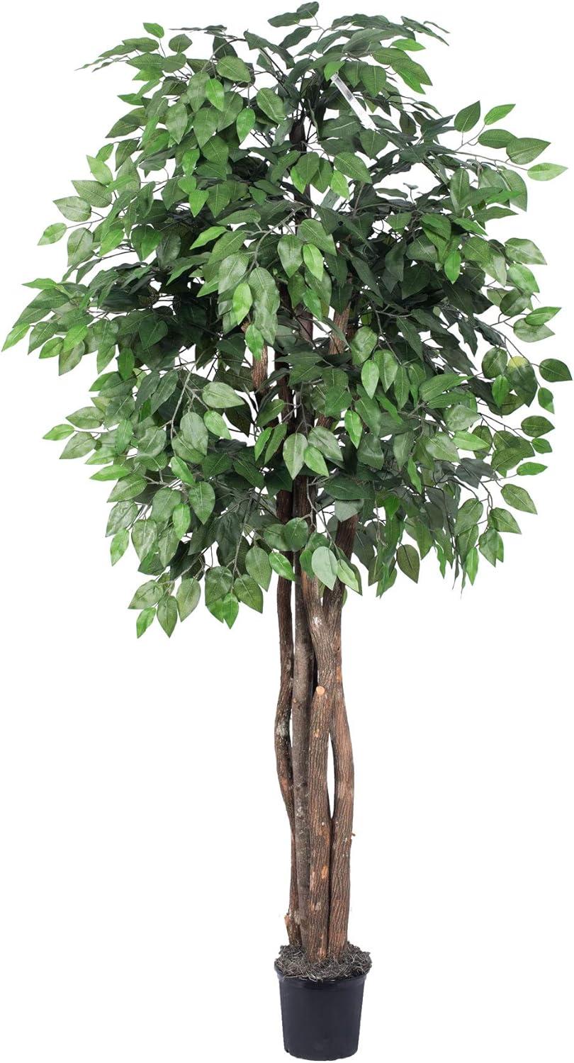 6' Green Silk Ficus Tree with Black Plastic Pot