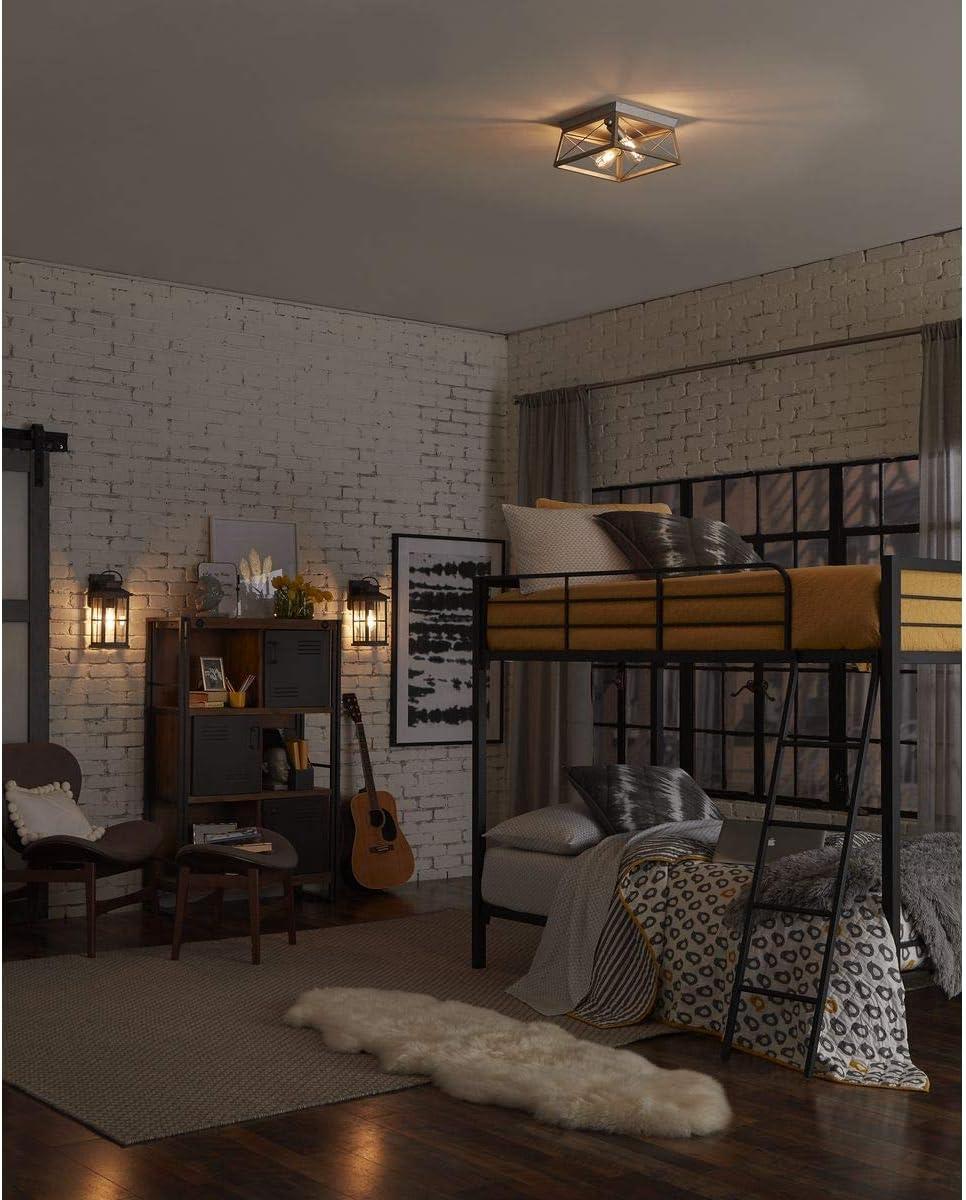 Progress Lighting Briarwood 2-Light Flush Mount, Galvanized Steel, Faux-Painted Wood Enclosure