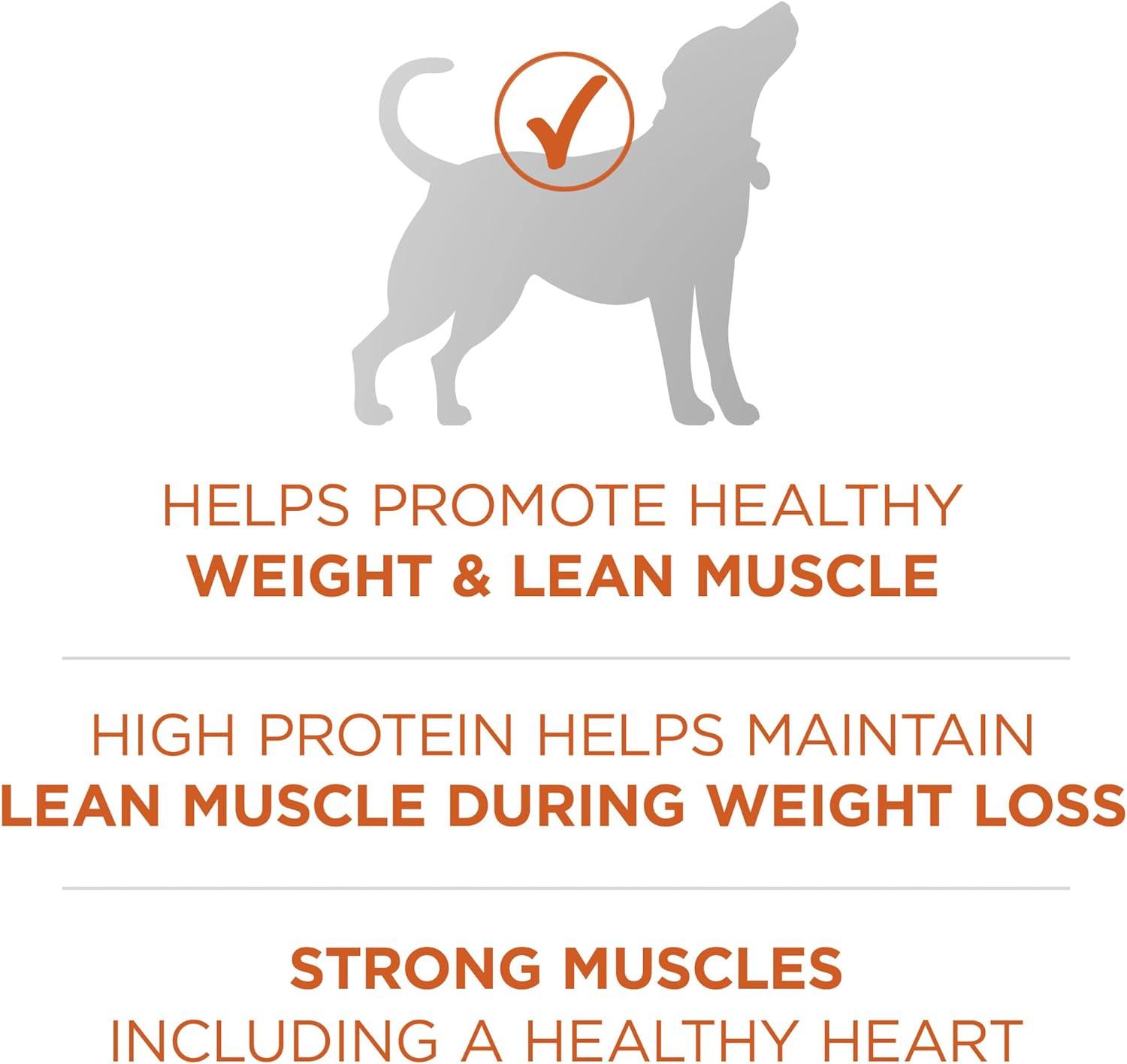 Purina ONE SmartBlend High Protein Healthy Weight Natural Turkey Flavor Dry Dog Food