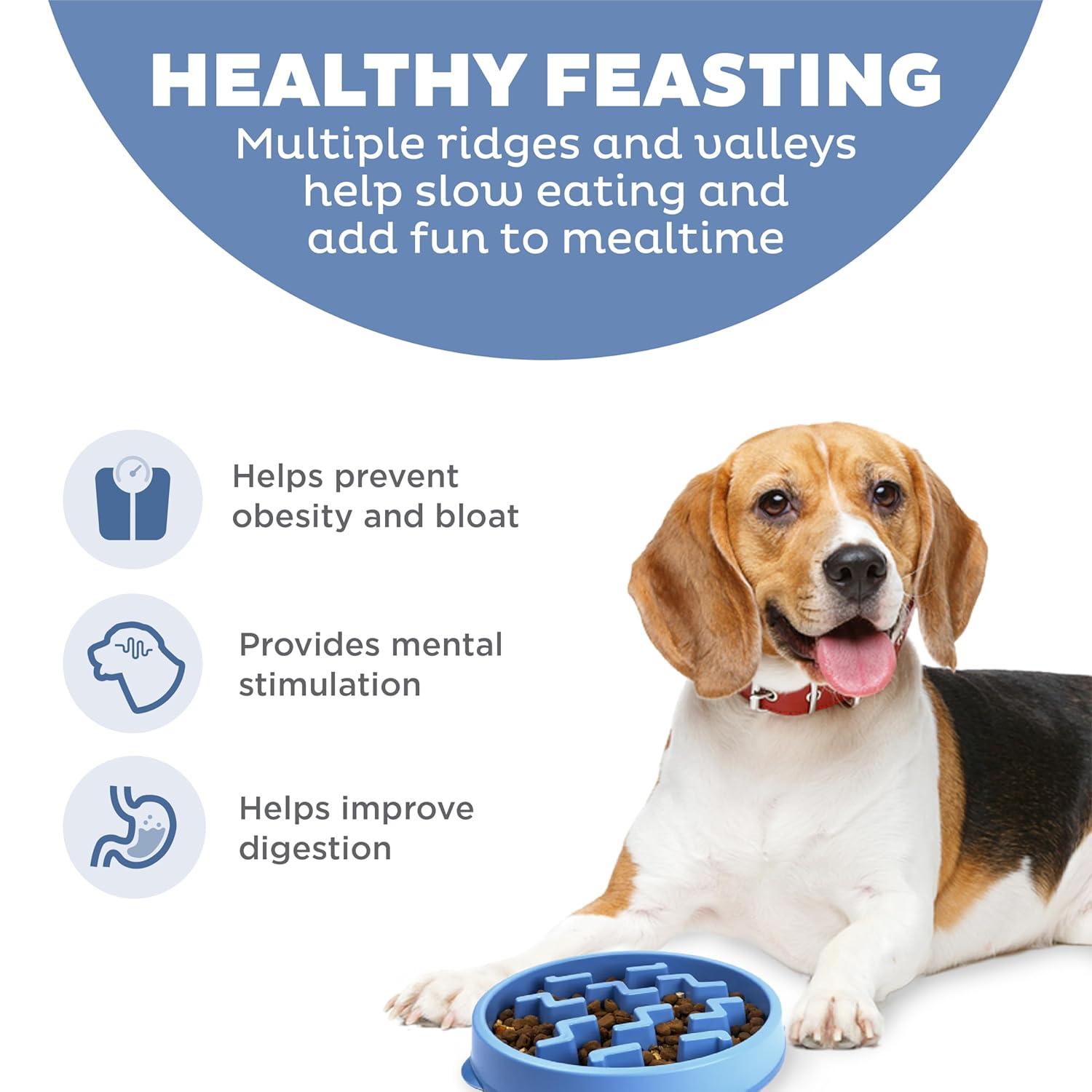 Outward Hound Outward Hound Fun Feeder Slow Bowl, Slow Feeder Dog Bowl, Blue