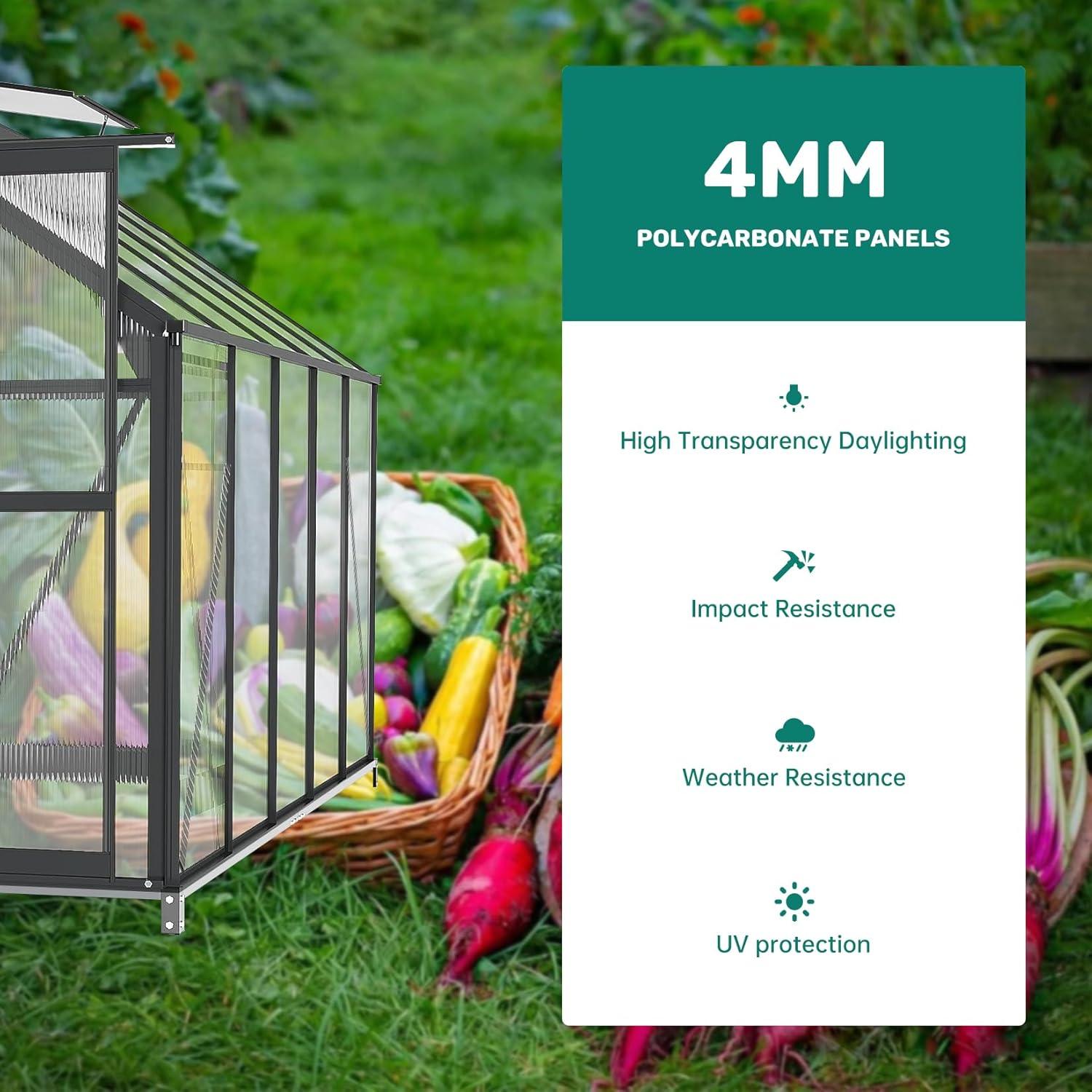 6x10 FT Polycarbonate and Aluminum Sliding Door Greenhouse