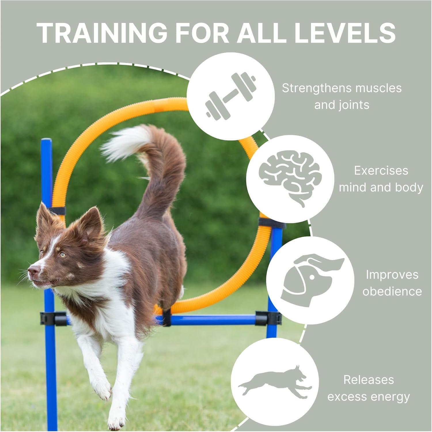 TRIXIE Dog Agility Ring, Portable Dog Hoop, Obstacle Course Equipment