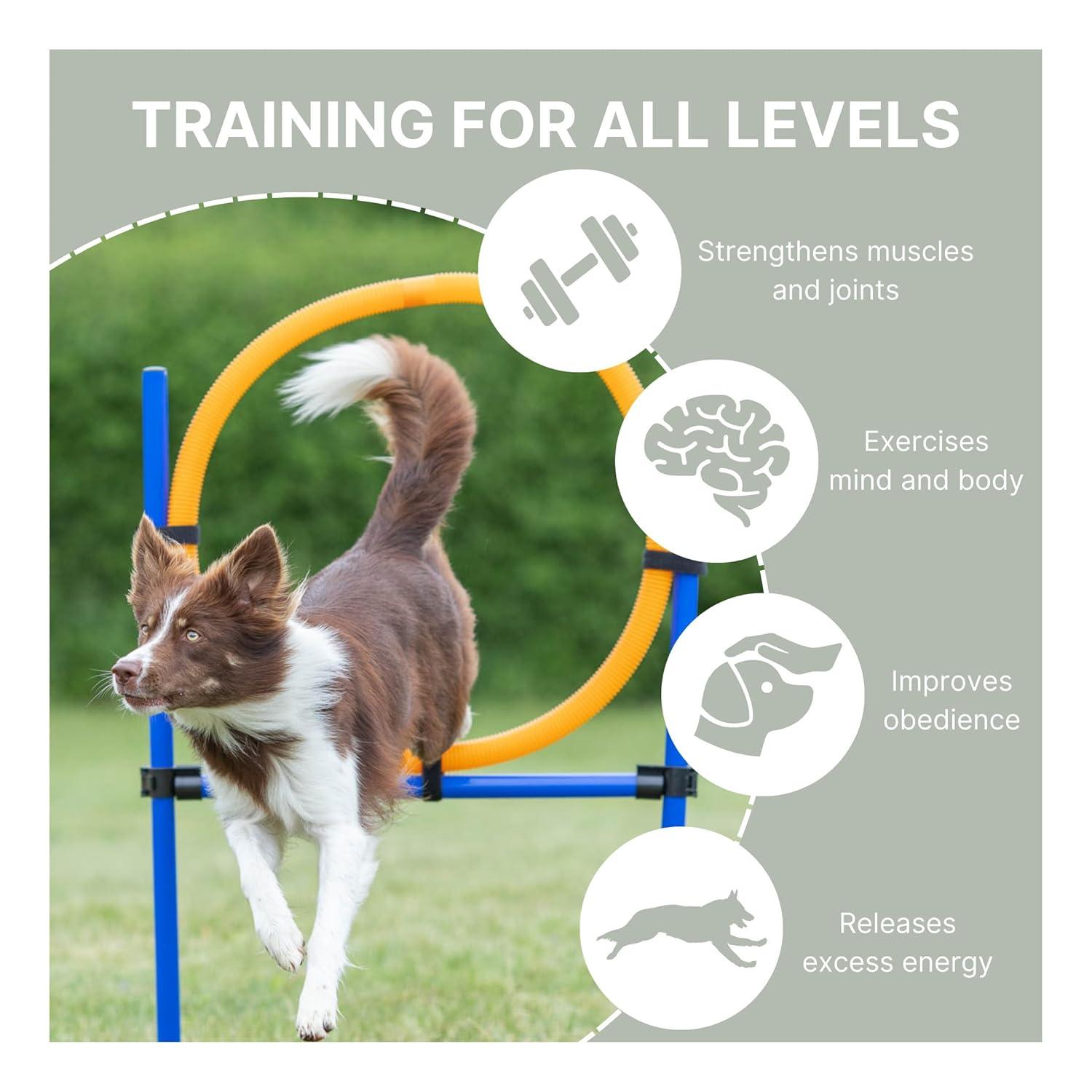 TRIXIE Dog Agility Ring, Portable Dog Hoop, Obstacle Course Equipment