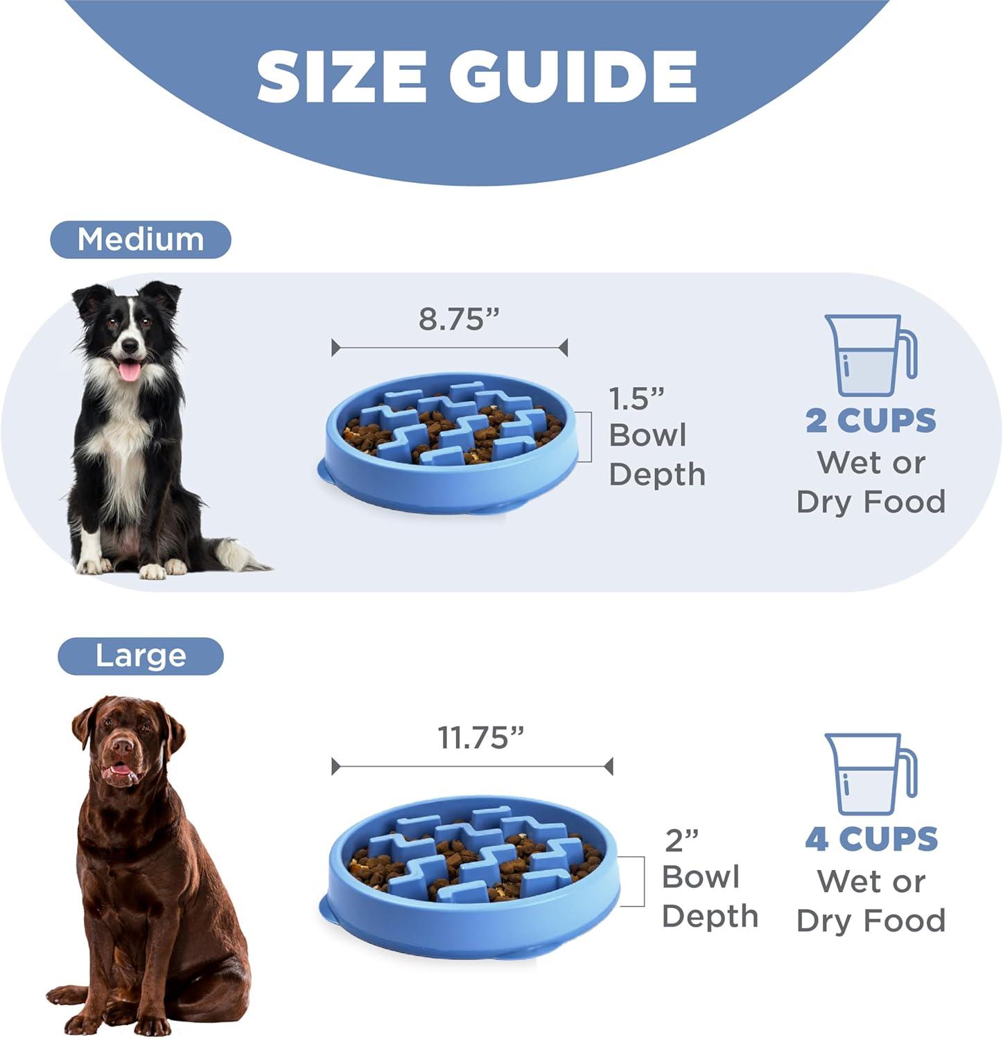 Blue Non-Slip Medium Slow Feeder Dog Bowl