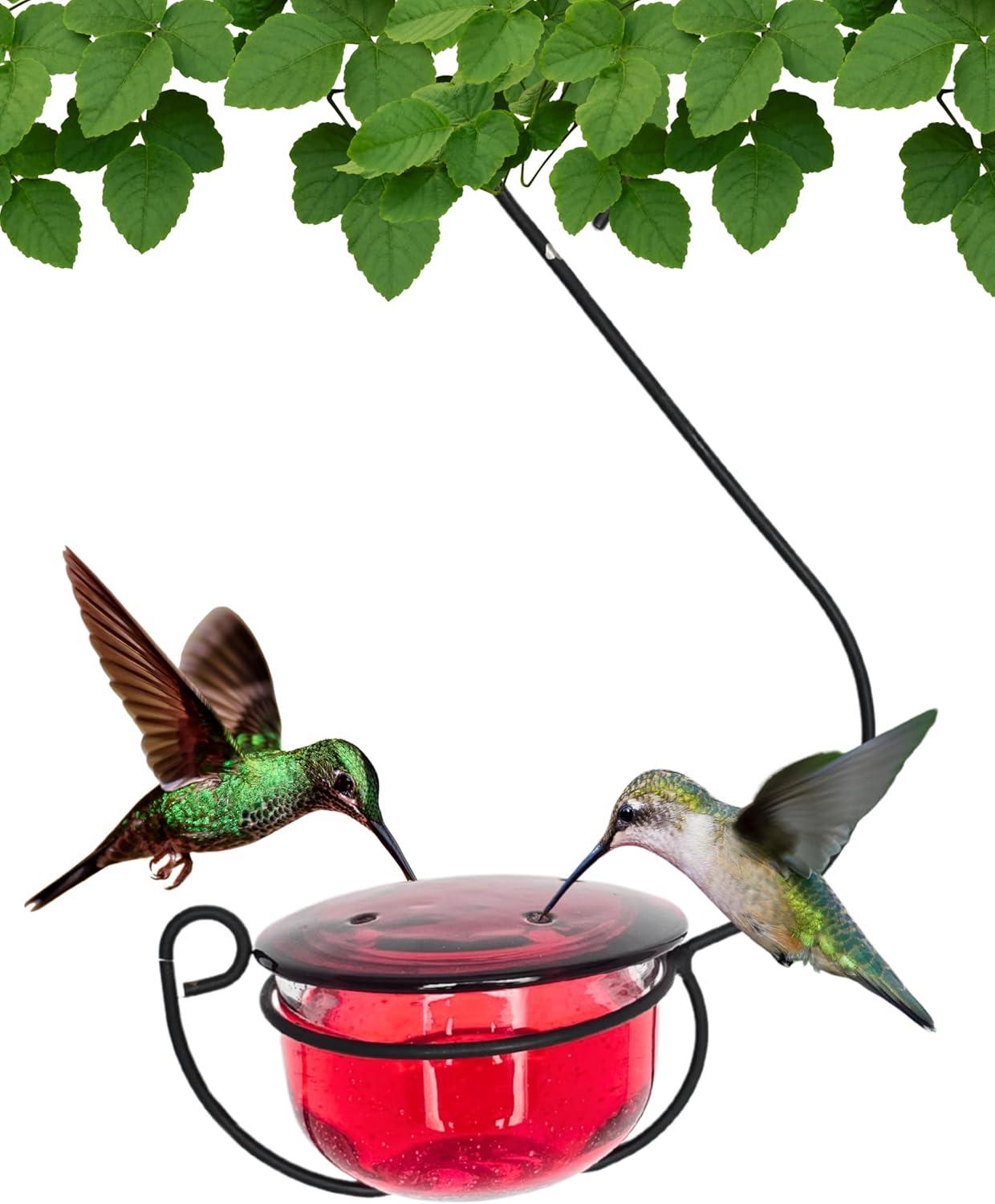 Backyard Essentials Clear Bubble Glass Hanging Hummingbird Feeder - 6 oz