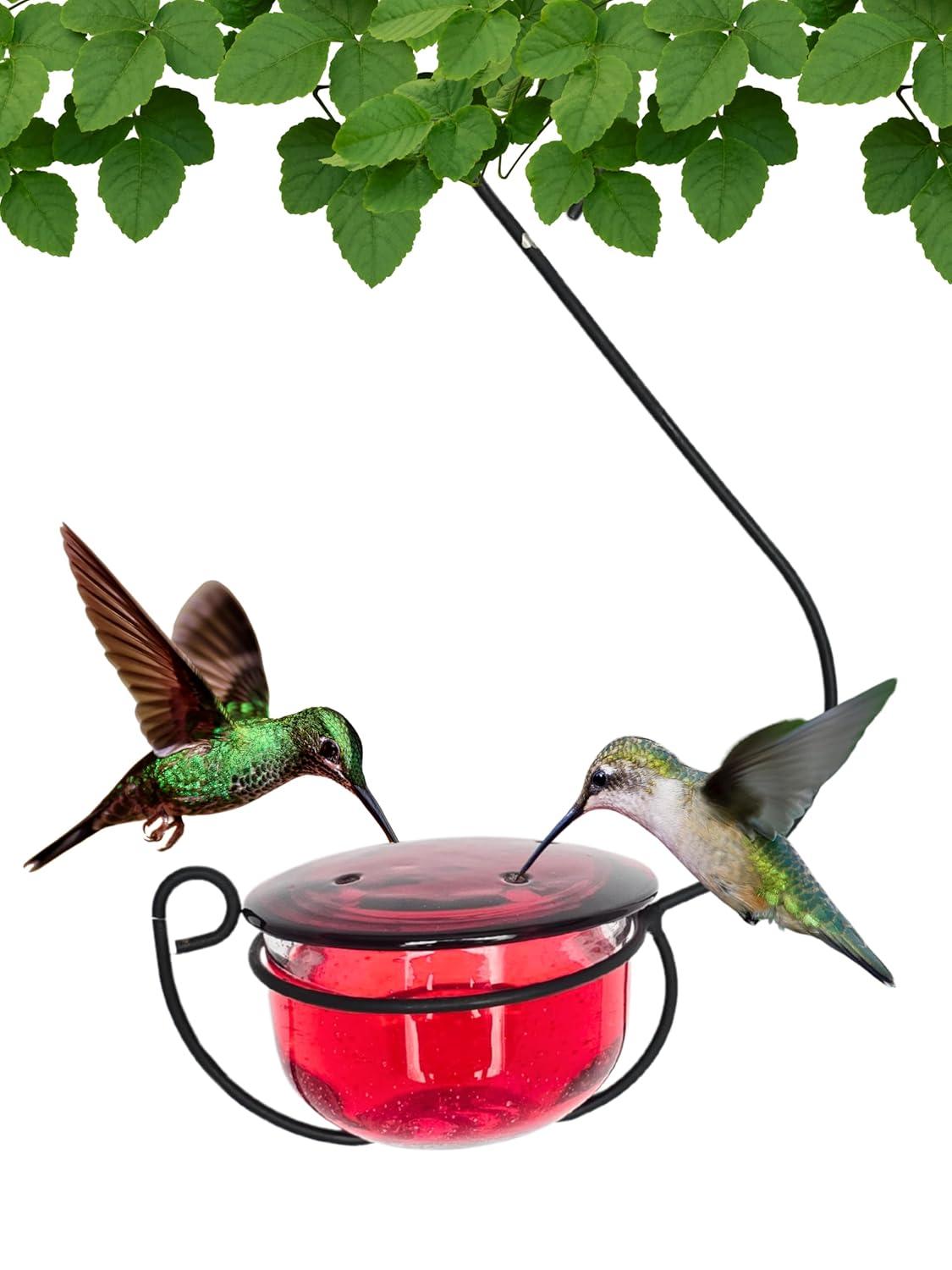 Backyard Essentials Clear Bubble Glass Hanging Hummingbird Feeder - 6 oz