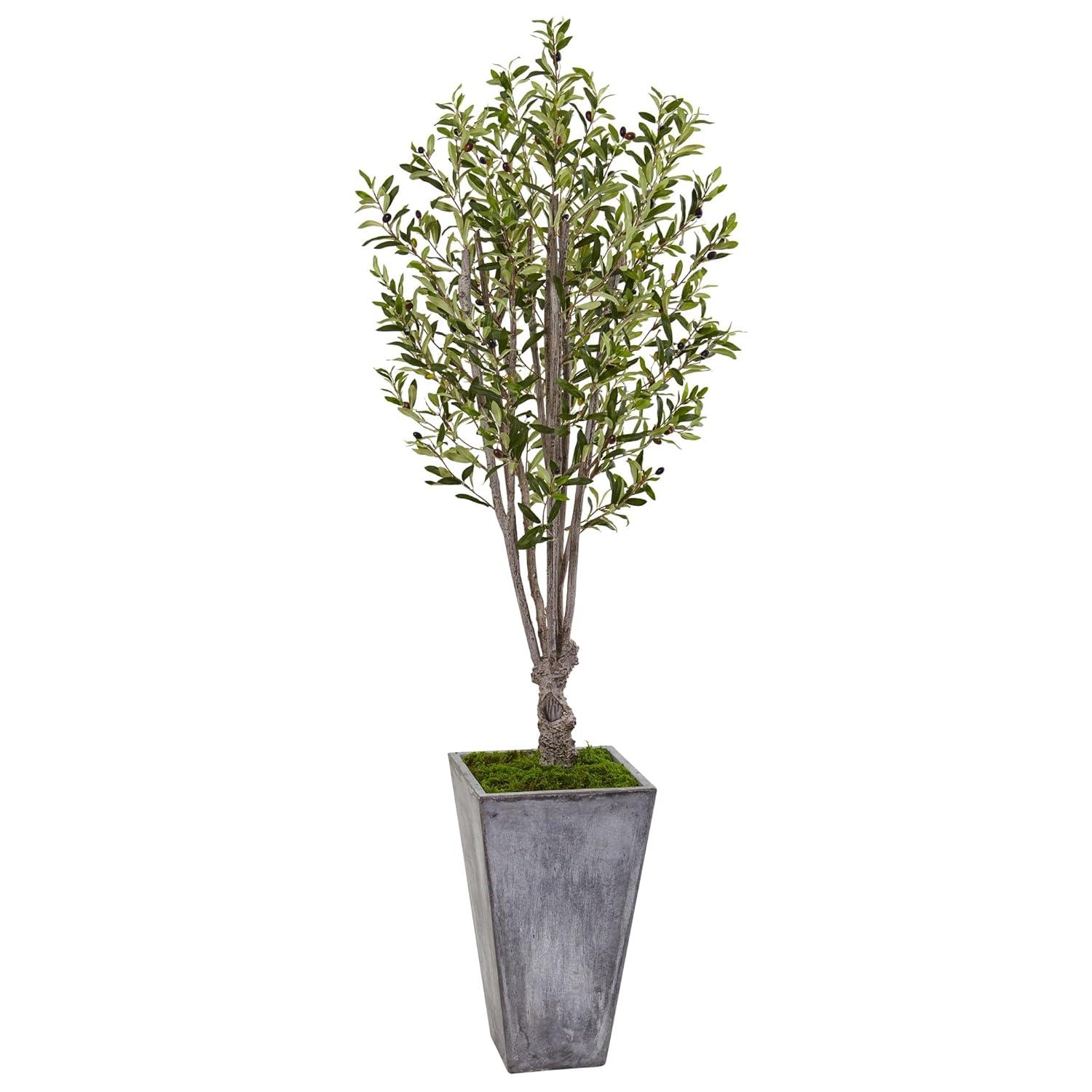 72" Artificial Olive Tree in Stone Planter - Nearly Natural: Indoor Faux Plant, No Maintenance Required