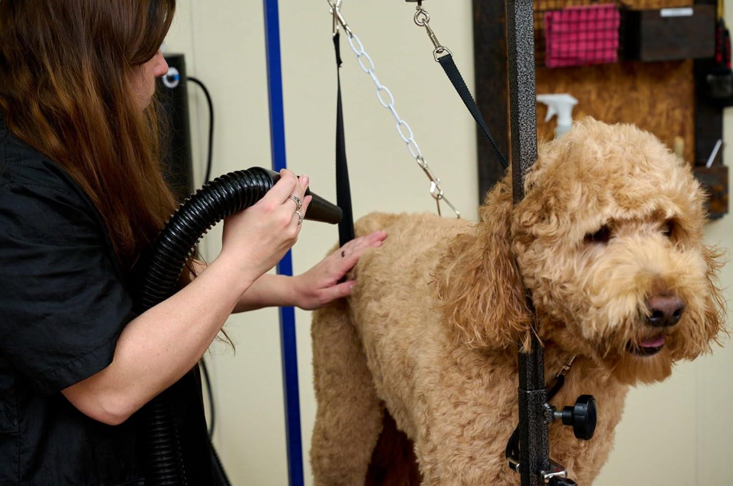 Black Steel Air Force Master Blaster Pet Dryer with Hose