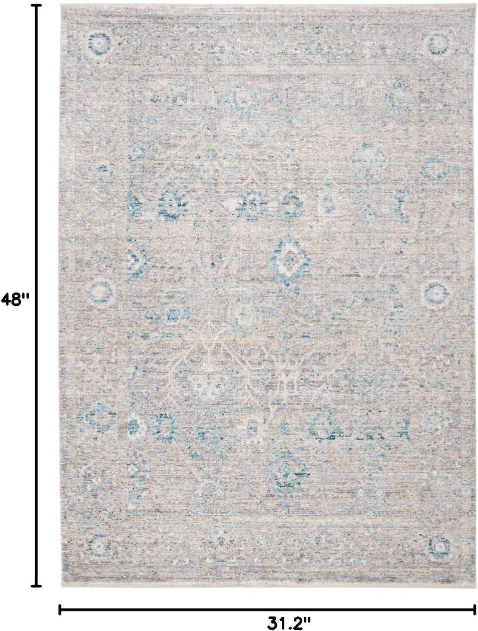 SAFAVIEH Dream Giles Floral Area Rug, Grey/Turquoise, 2'6" x 4'