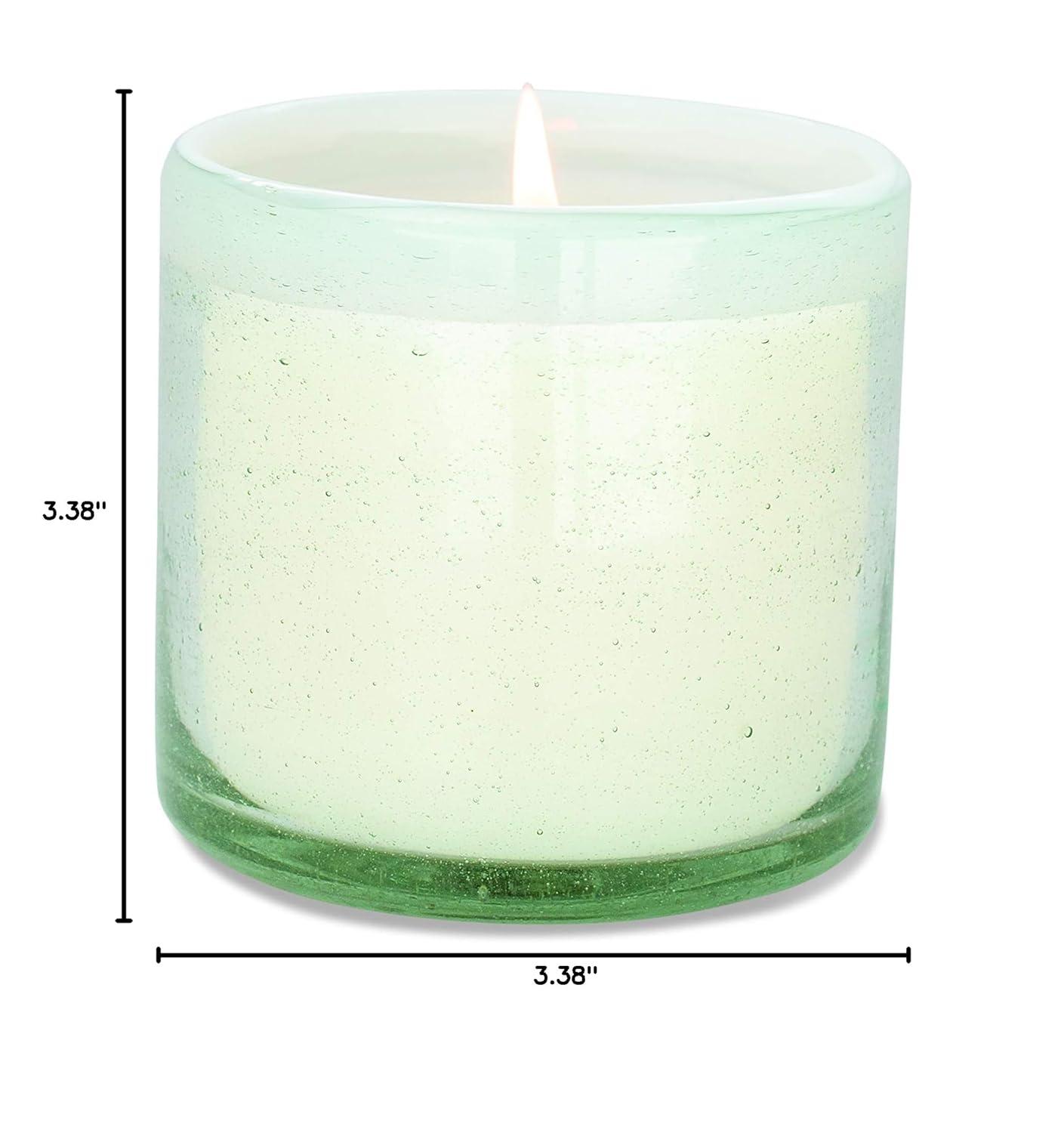 Paddywax Scented Candles Coastal La Playa Collection Artisan Candle in Hand-Blown Glass, 9 Ounces, Amber + Coconut