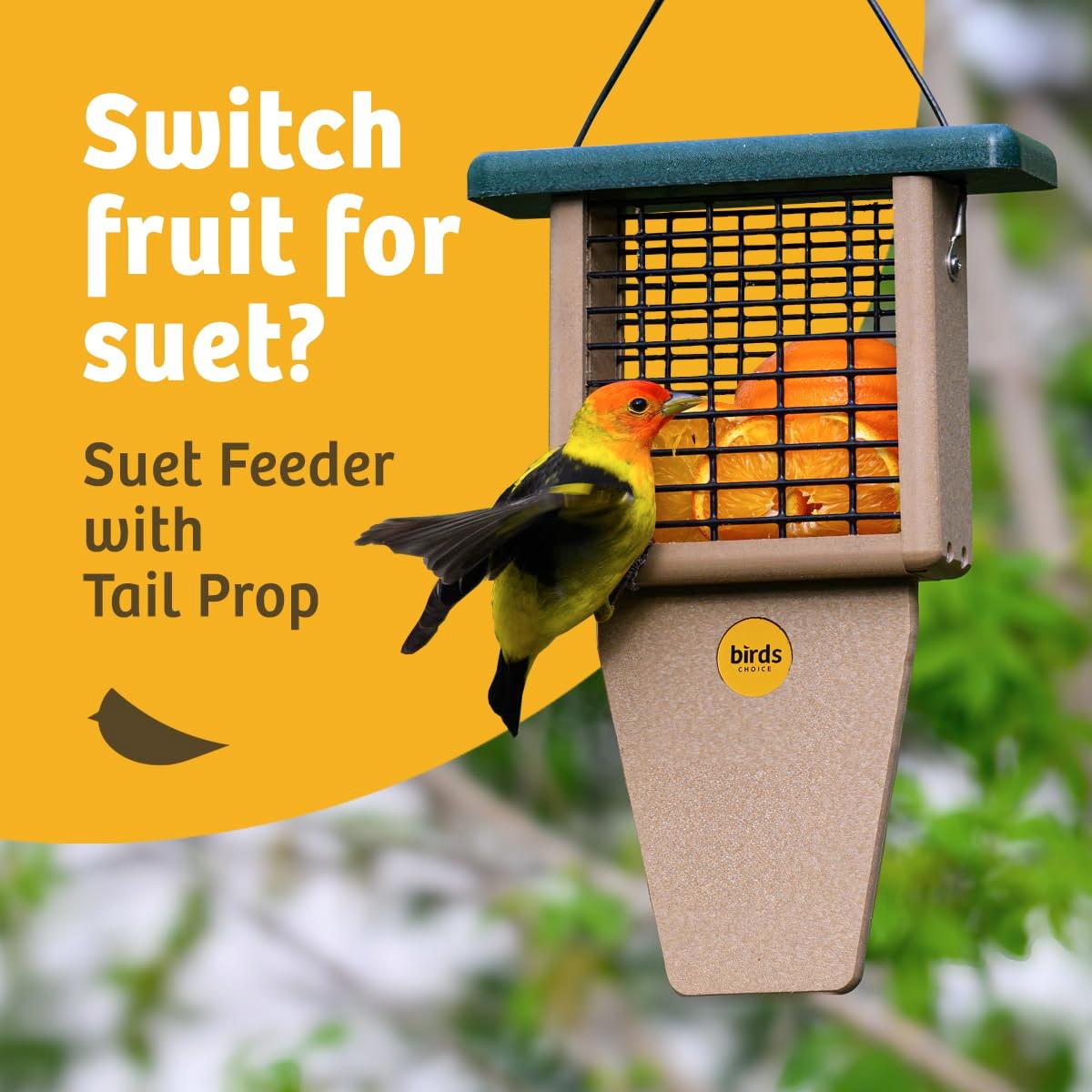 Birds Choice Birds Choice 12" Recycled Single Cake Tail Prop Suet Feeder, Taupe/Green