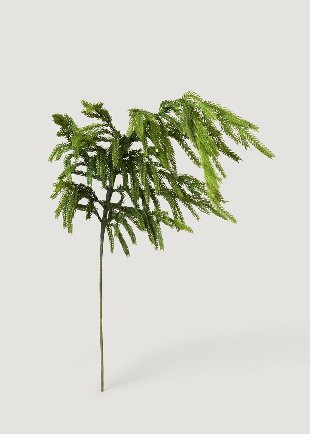 Afloral Real Touch Norfolk Pine Branch - 36"