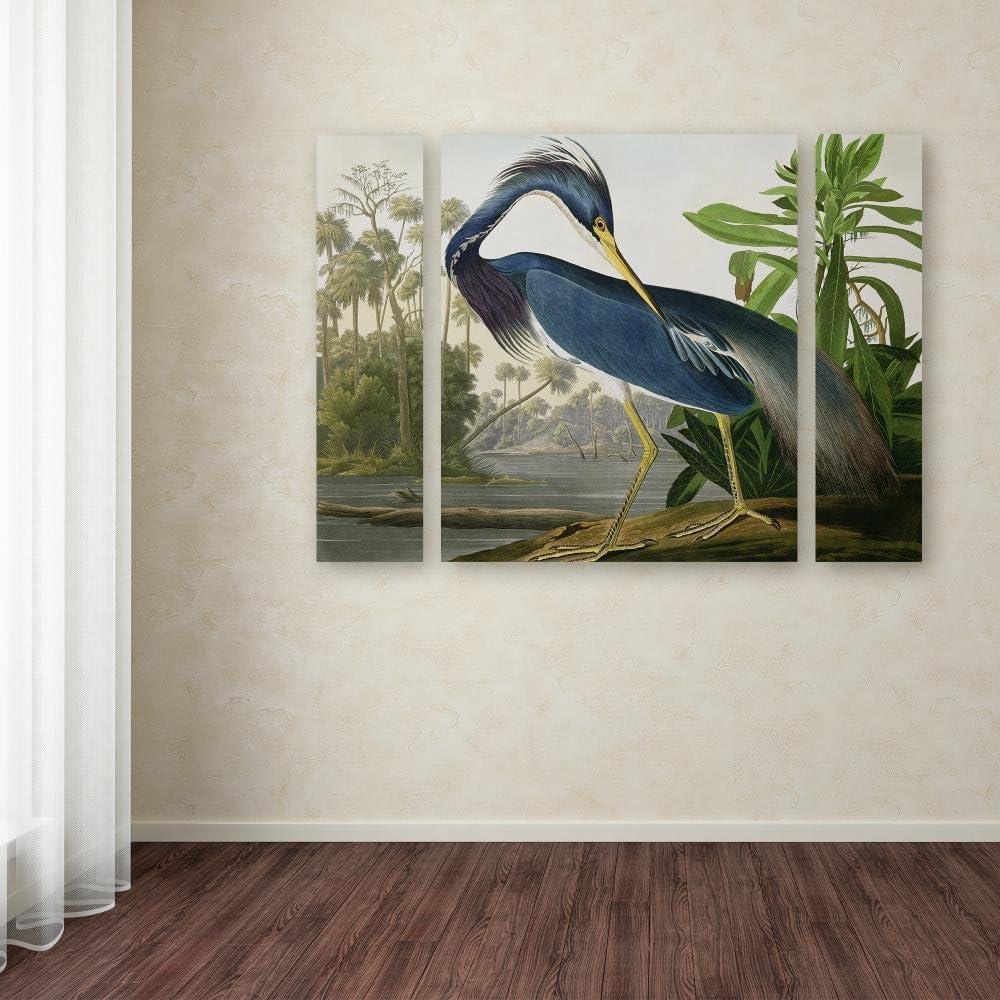 Louisiana Heron Multi-Panel Canvas Art Set