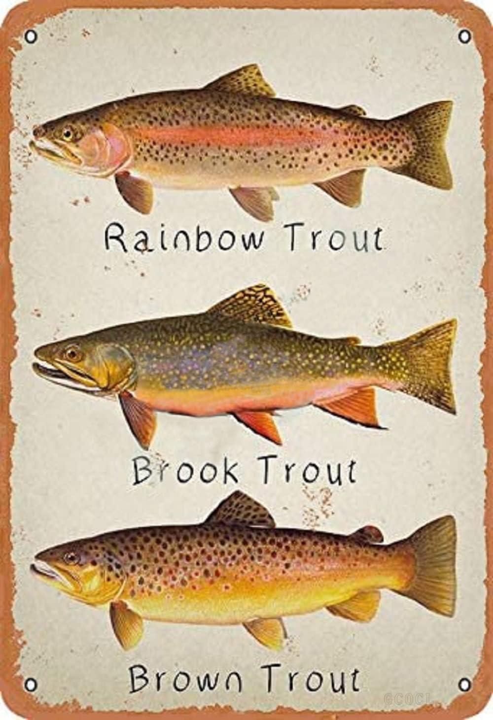 GCOCL Rainbow Trout Brook Trout Brown Trout Retro Metal Decor Wall Plaque Vintage Tin Sign for House Cafe Club Home Or Bar