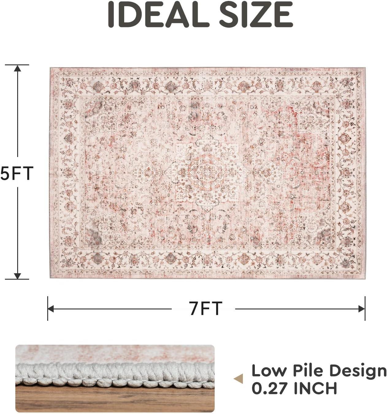 Hasoo Area Rug 5' x 7' Washable Modern Floral Rugs for Living Room Non-Slip Accent Carpet Pink