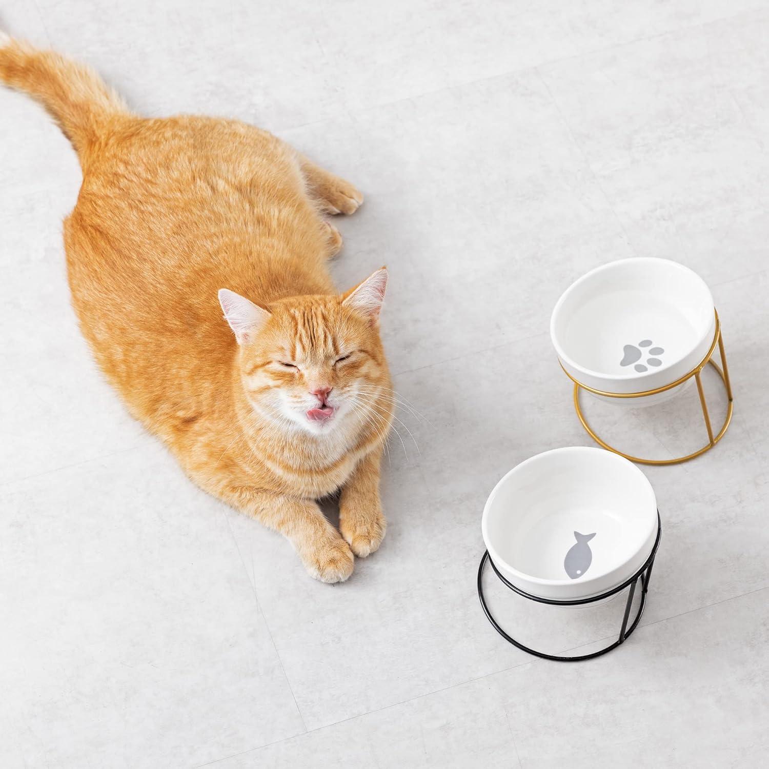 Navaris Tilted Pet Bowls with Stand (Set of 2) - Elevated Ceramic Cat Food Bowl Set for Cats and Small Dogs with Metal Wire Stands - Black and Gold