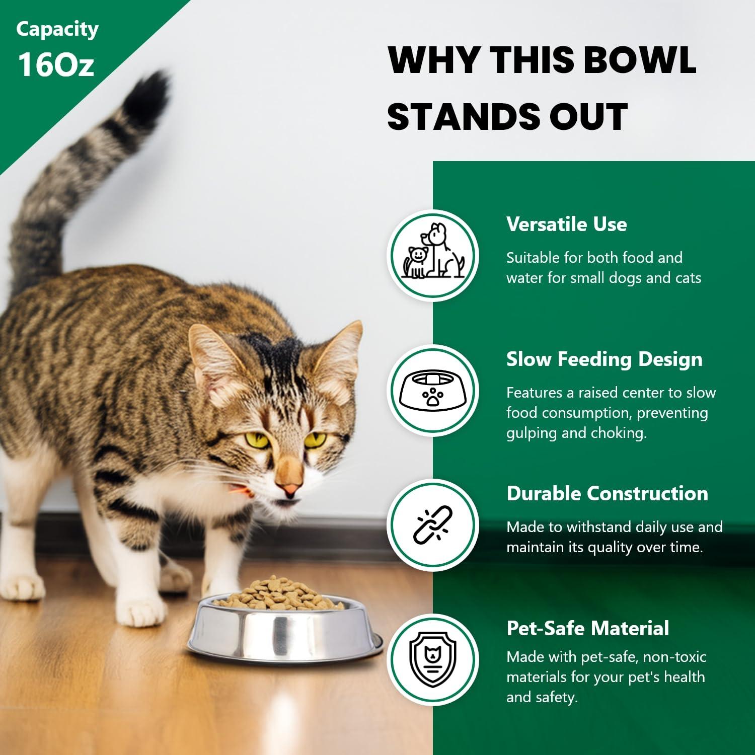 CosmoLiving by Cosmopolitan Anti Ant Pet Single Bowl