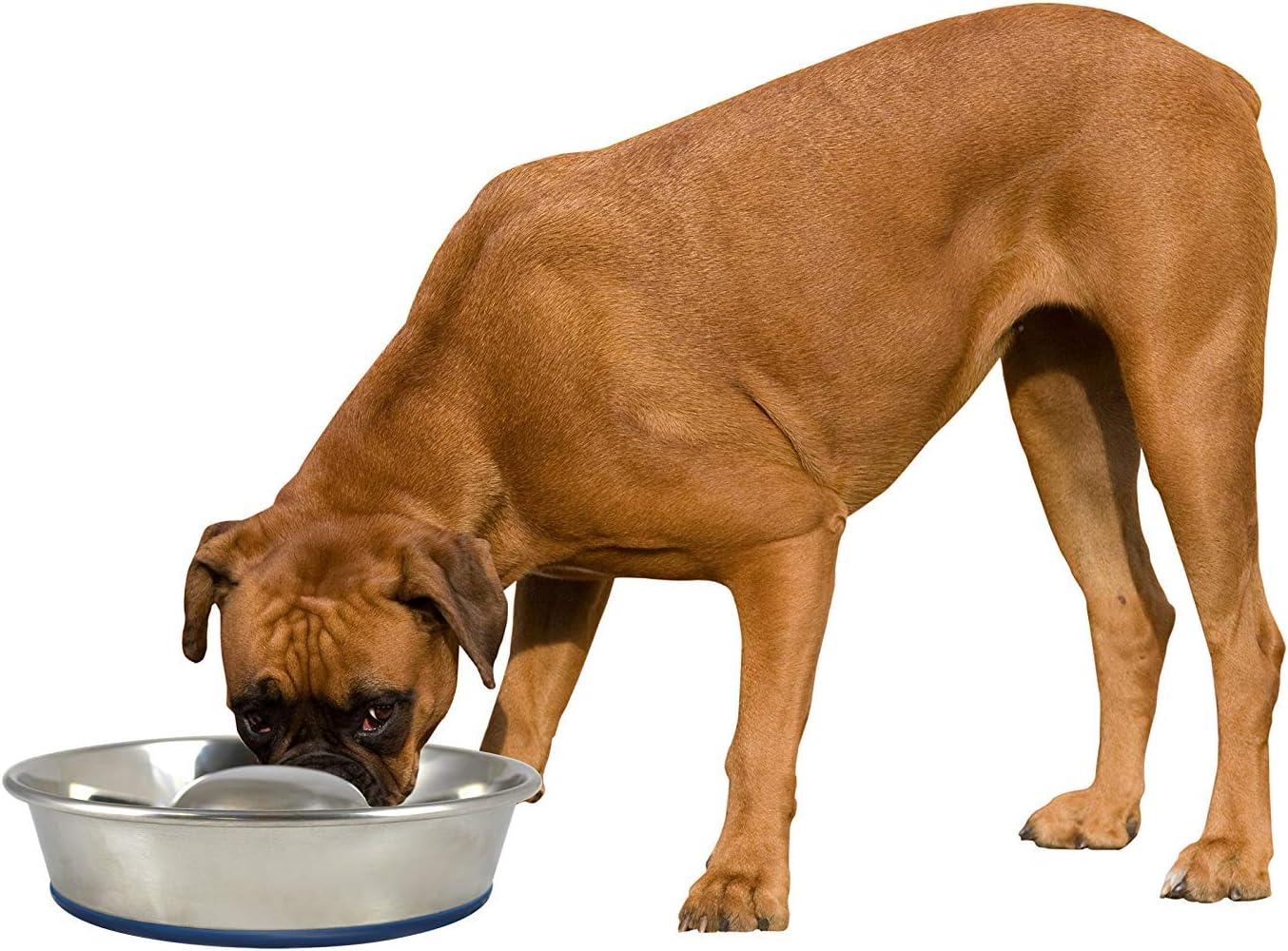 OurPets DuraPet Slow Feed Premium Stainless Steel Dog Bowl, Large (6.0 Cups), Silver