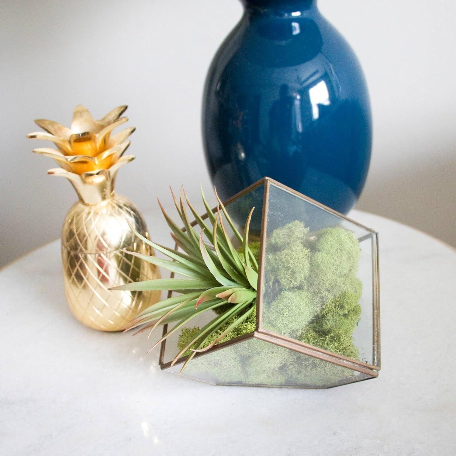 Quality Growers Preserved Reindeer Moss 108.5 Cubic Inches-Spring Green