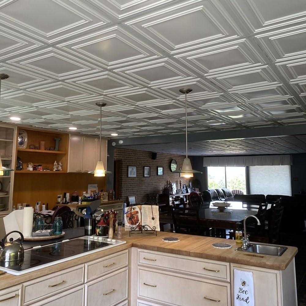 Economy Drop-In PVC Ceiling Tile