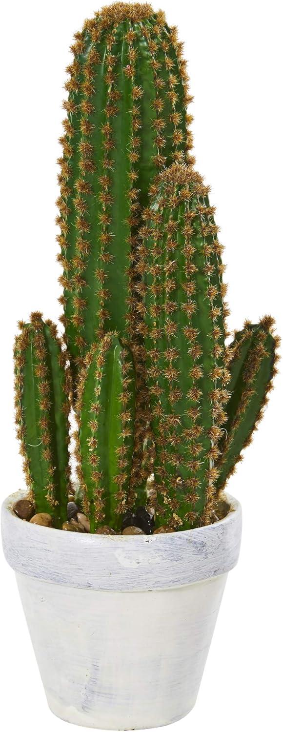 Nearly Natural 1.5-ft Cactus Succulent Artificial Plant