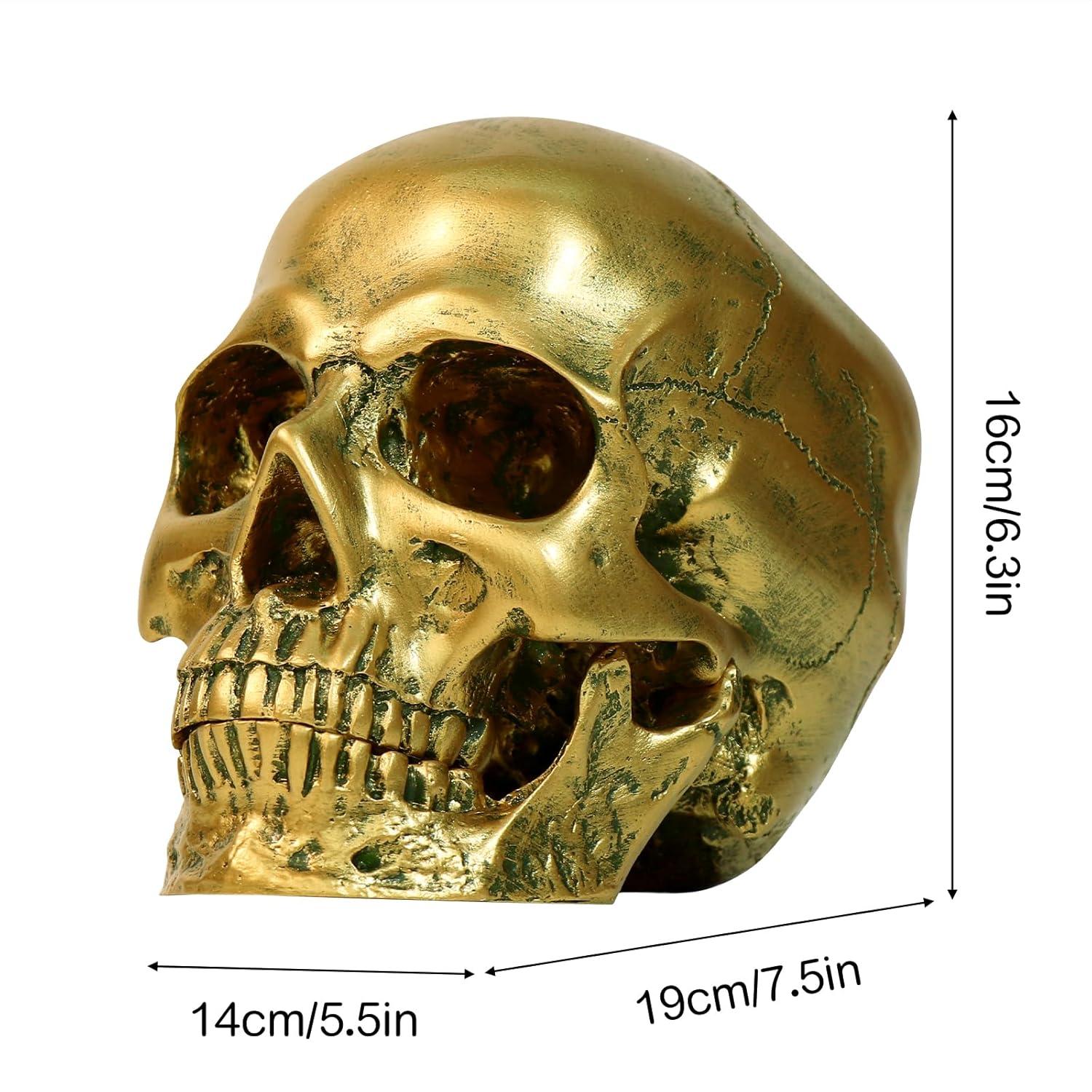 Resin Gold Skull Model - Life Size High Fidelity Sculpture for Halloween Decor Statues, Home Decoration & Artistic Display