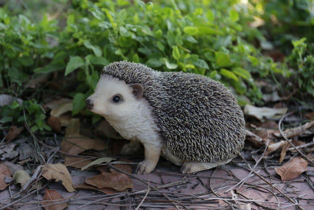 Crawling Hedgehog Statue