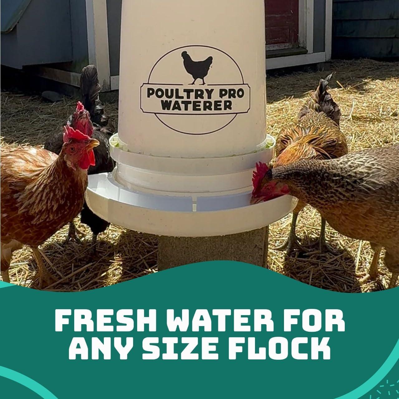 The Original Poultry Pro Waterer | DIY Chicken Waterer for Chicken Coop | Hands Free Poultry Waterer Suitable for Pigeons, Ducks, Chickens & Other Smaller Birds - Fits All 5 Gallon Buckets
