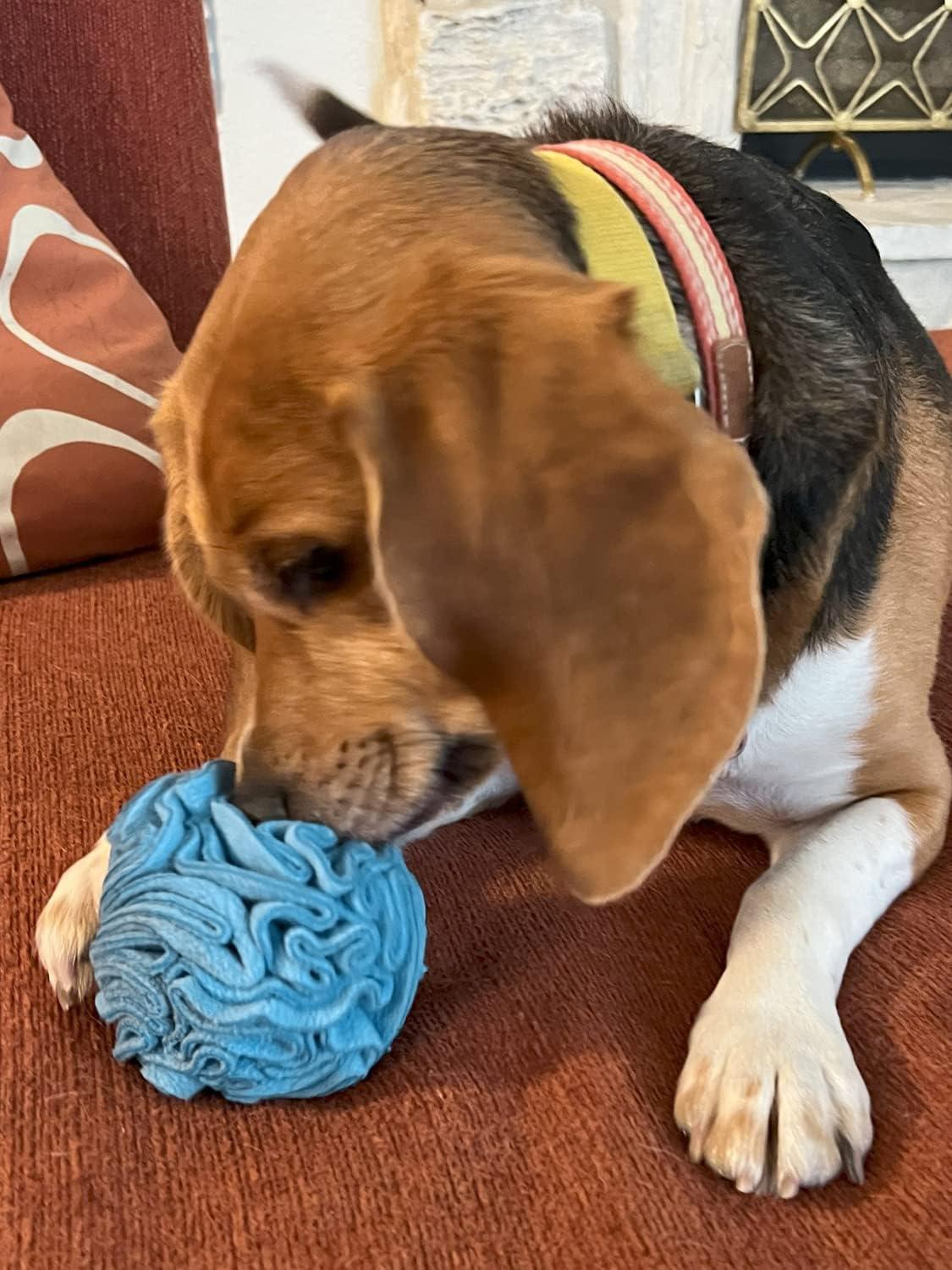 Snuffle Interactive Foraging Dog Puzzle Ball Toy for Puppy and Adult