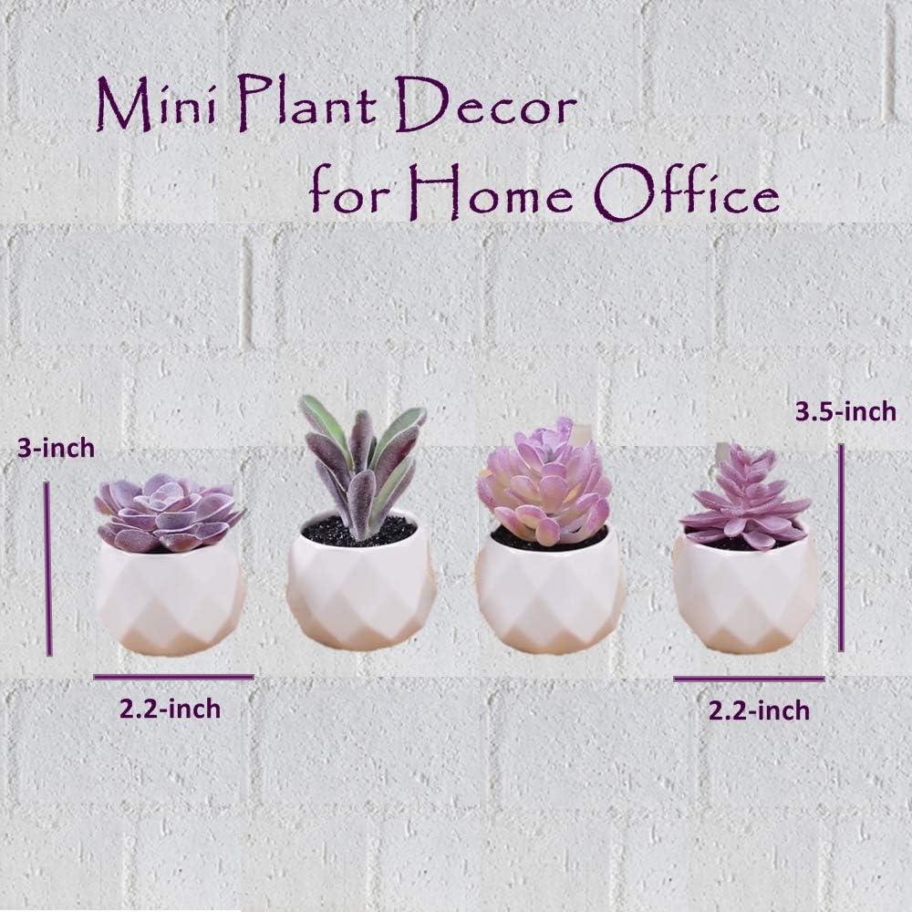 Mini Purple Plastic Succulent Set in White Pots