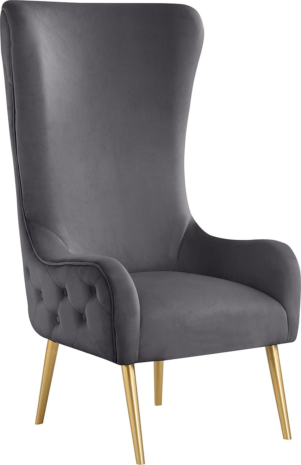 Meridian Furniture Alexander Black Velvet Accent Chair