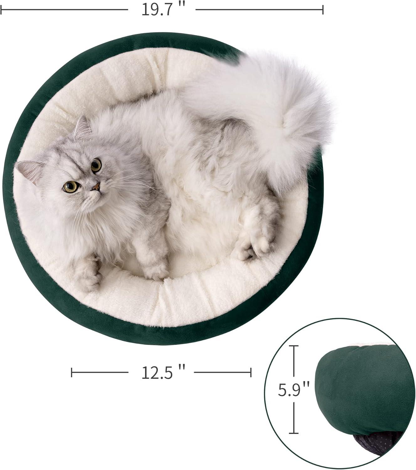 Archie & Oscar™ Round Donut Cat And Dog Cushion Bed, 20In Pet Bed For Cats Or Small Dogs, Anti-Slip & Water-Resistant Bottom, Super Soft Durable Fabric Pet Beds, Washable Luxury Cat & Dog Bed
