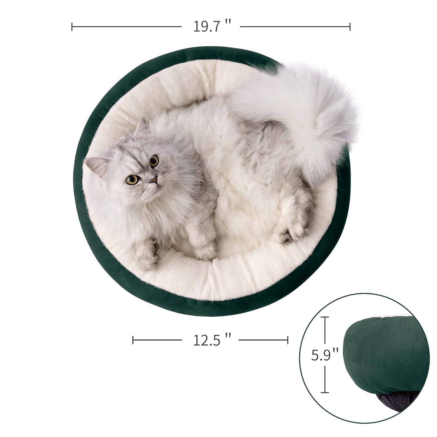 Archie & Oscar™ Round Donut Cat And Dog Cushion Bed, 20In Pet Bed For Cats Or Small Dogs, Anti-Slip & Water-Resistant Bottom, Super Soft Durable Fabric Pet Beds, Washable Luxury Cat & Dog Bed