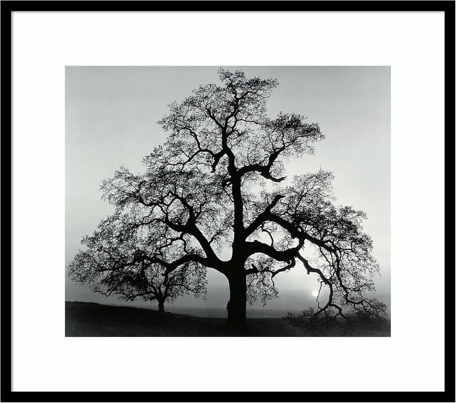 Black Wood Framed Landscape Photography Print, 31" x 27"