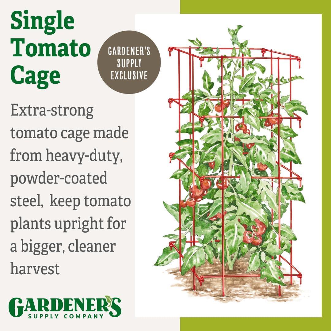 Gardener's Supply Company Single Steel Tomato Cage 32 Inch High - Red