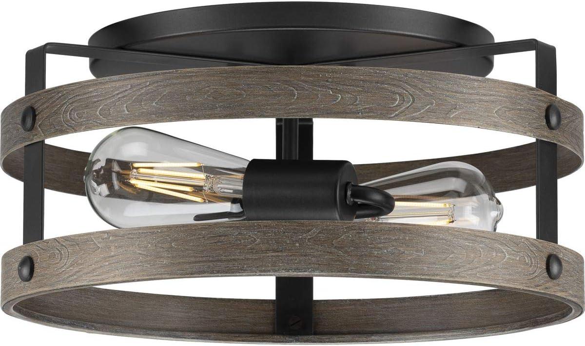 Progress Lighting Gulliver 2-Light Flush Mount Ceiling Light, Graphite, Open-Cage Design, Faux-Wood Finish