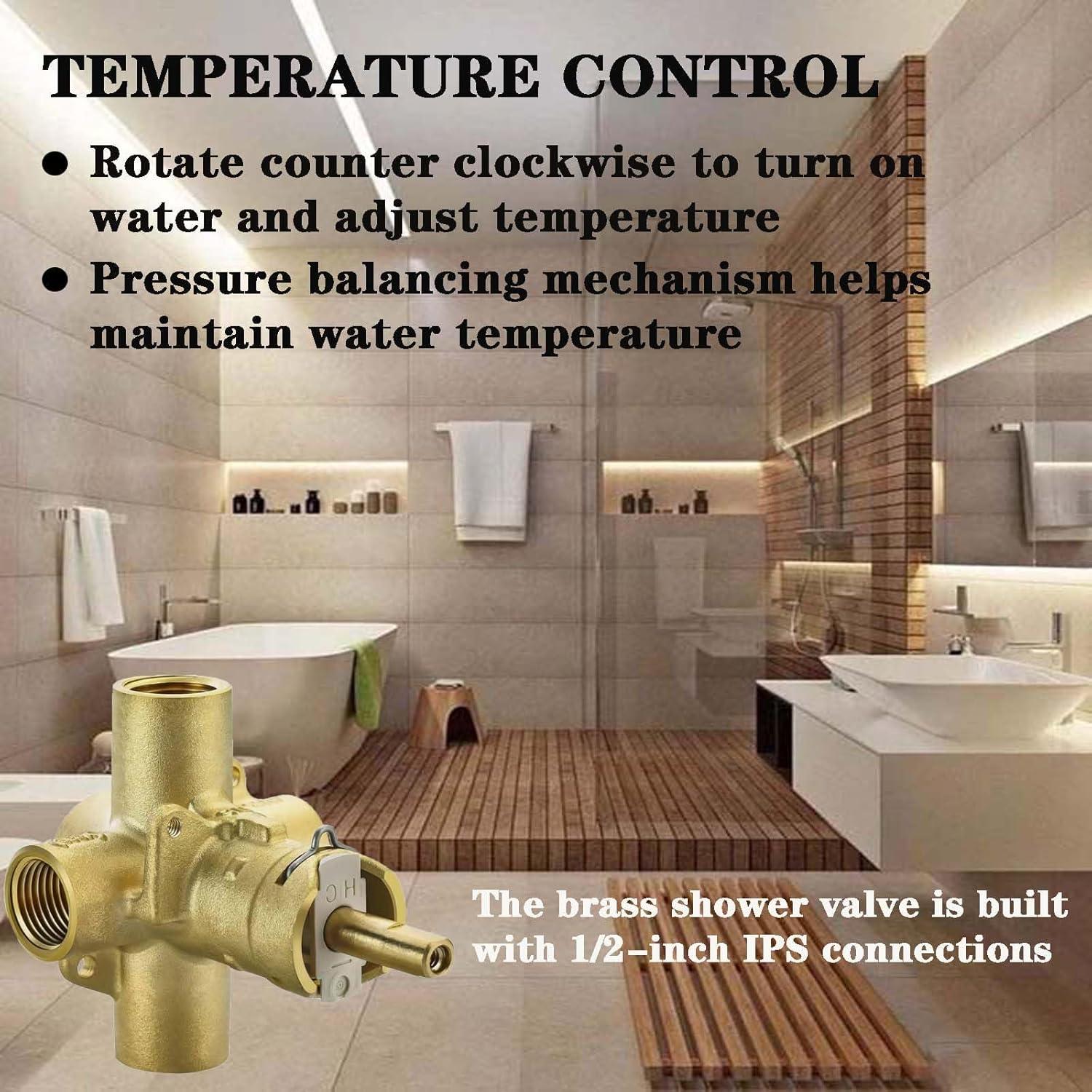 Posi-Temp Pressure Balancing Valve with IPS Connection