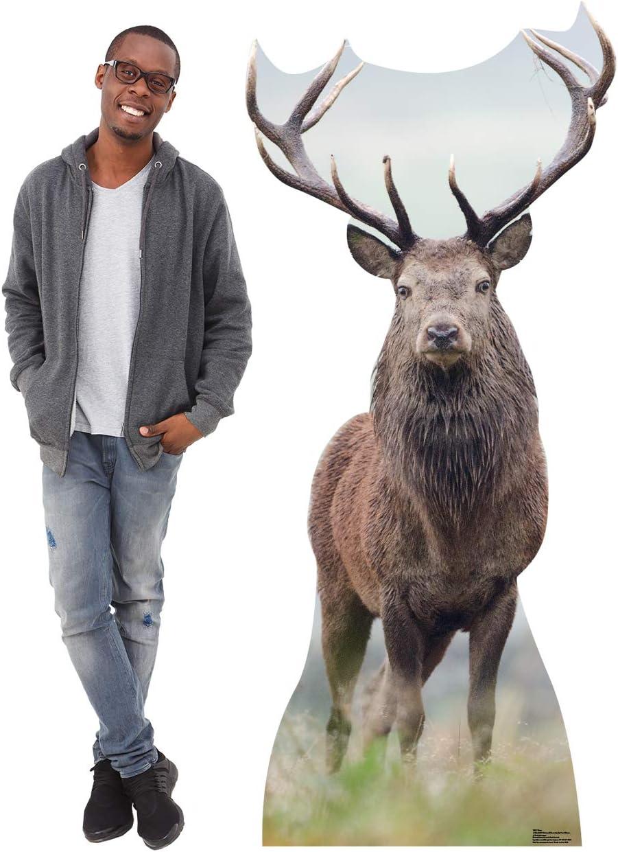 Deer Cardboard Standup 72 x 31 in.