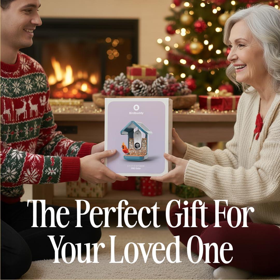 Bird Buddy Smart Bird Feeder with Camera and Solar Roof: Weather-Resistant, Hanging or Pole Mount